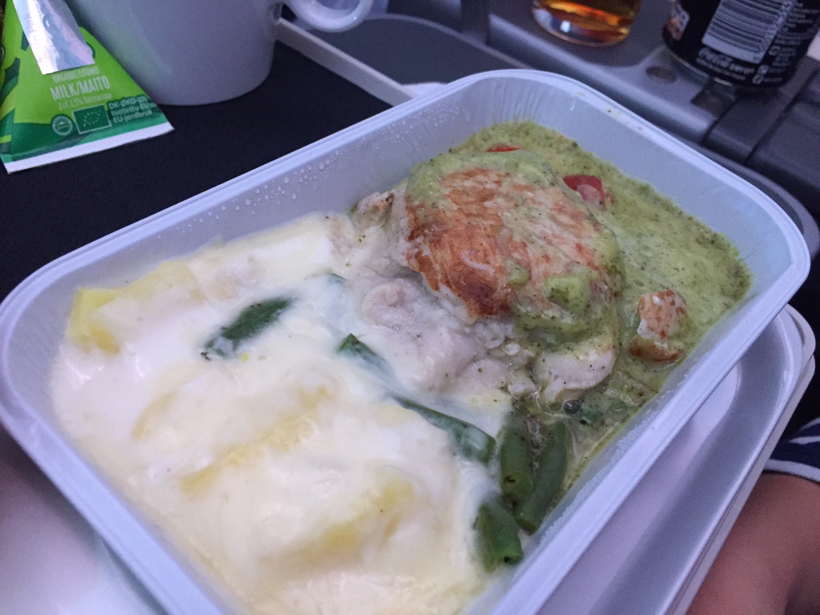 Min medrejsende valgte kylling, som viste sig at være en form for frikadelle med flødekartofler. Smagte bedre end fisken. Dette var også den ret som blev serveret på SAS Go.