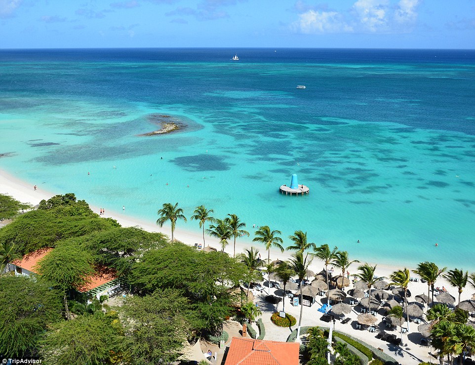 Snehvide strande og blåt hav præger Aruba. (Alle fotos: Tripadvisor)