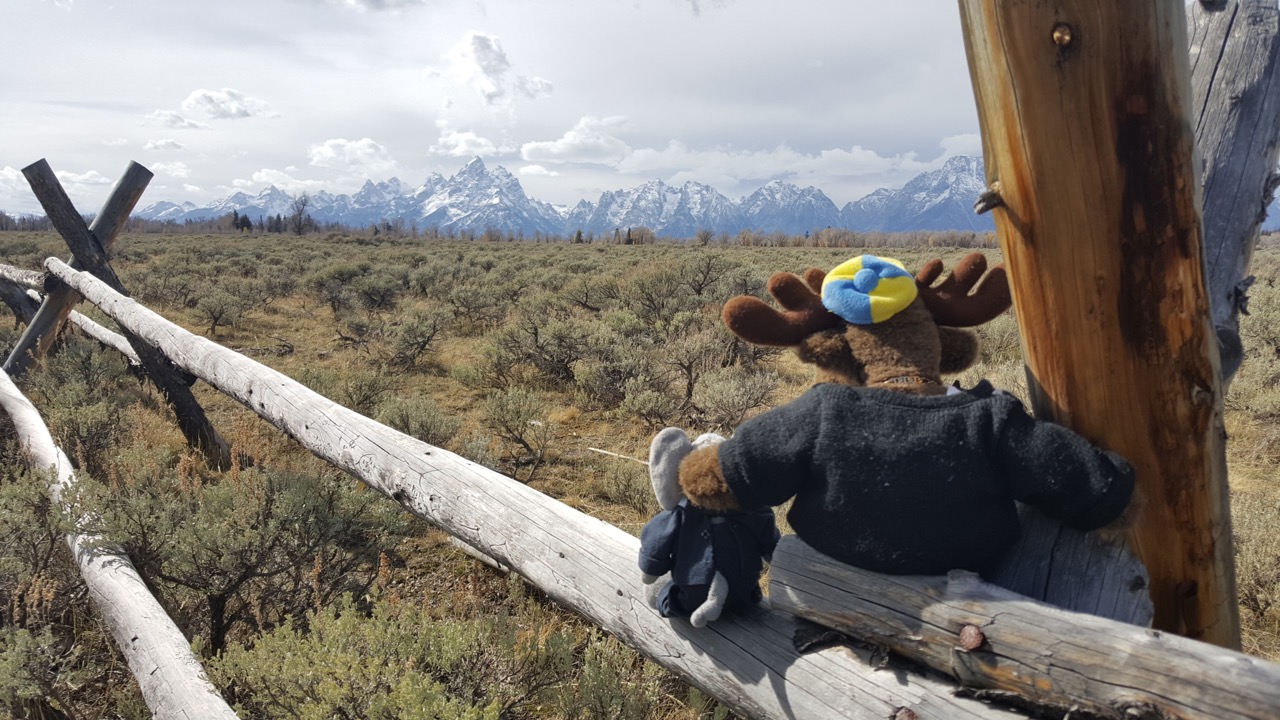 fnate-2-mooseview