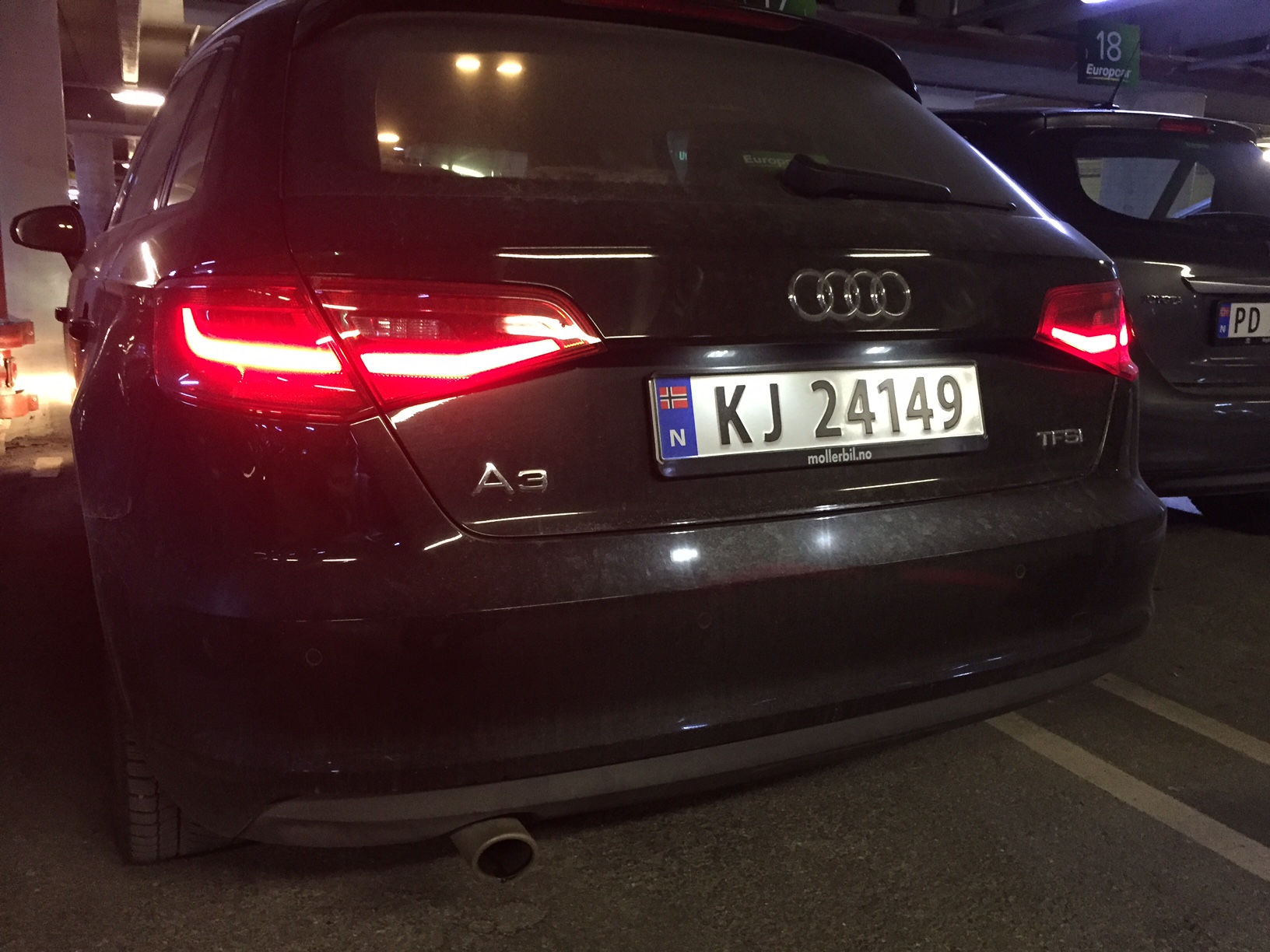 Foto: Rolf A. H. Gjerdsjø